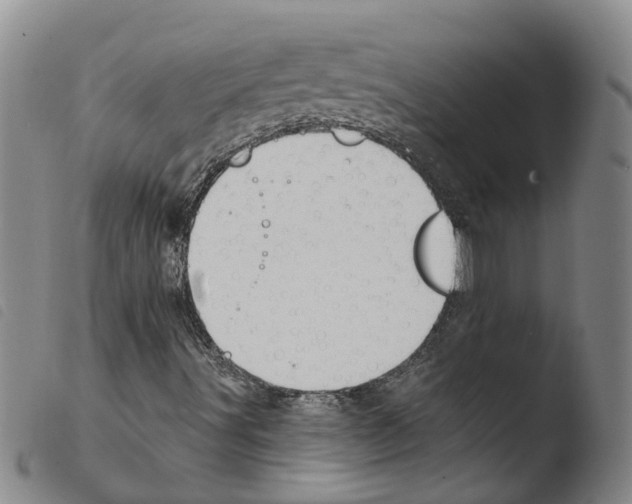 X0000103491491200810241049