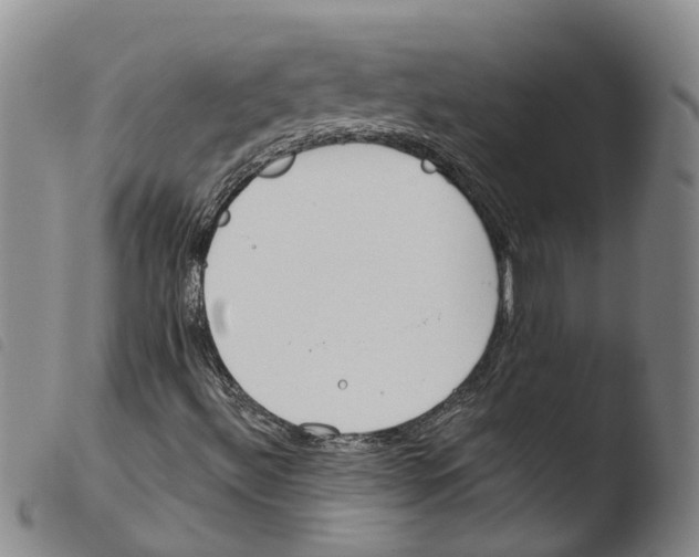 X0000103491492200810241049