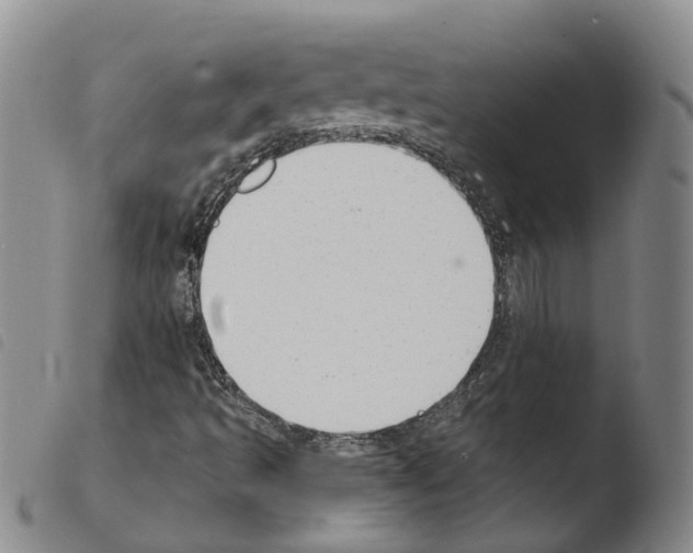 X0000103491493200810241049