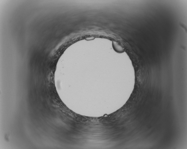 X0000103491495200810241049