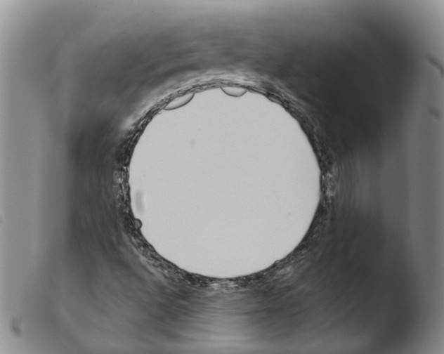 X0000103491496200810241049