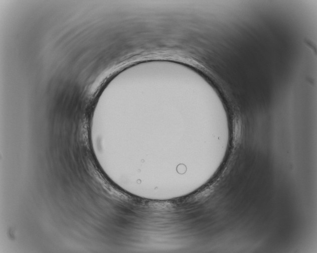 X0000103491498200810241049