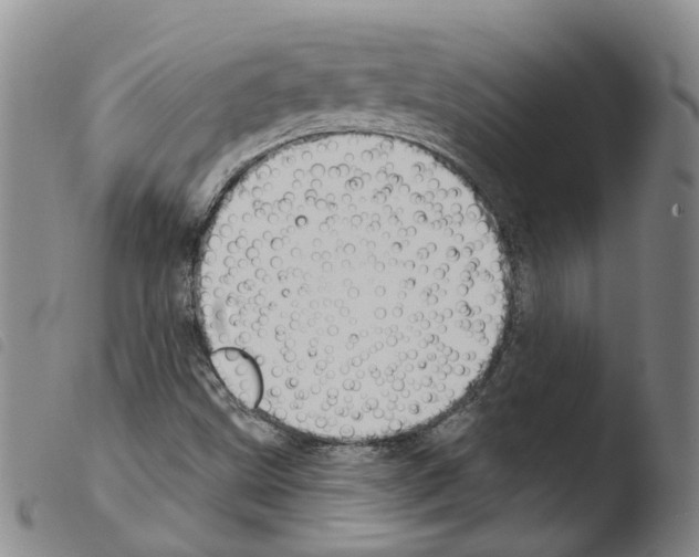 X0000103491499200810241049