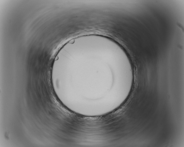 X0000103491500200810241049