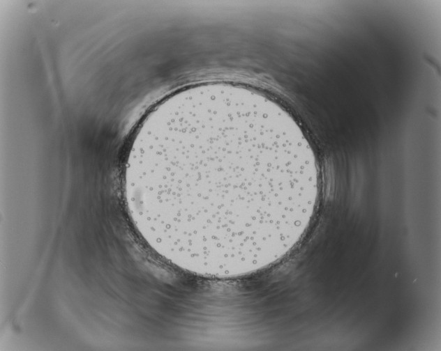 X0000103491501200810241049