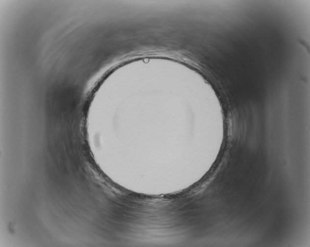 X0000103491502200810241049