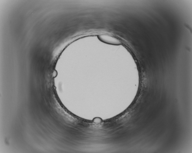 X0000103491504200810241049