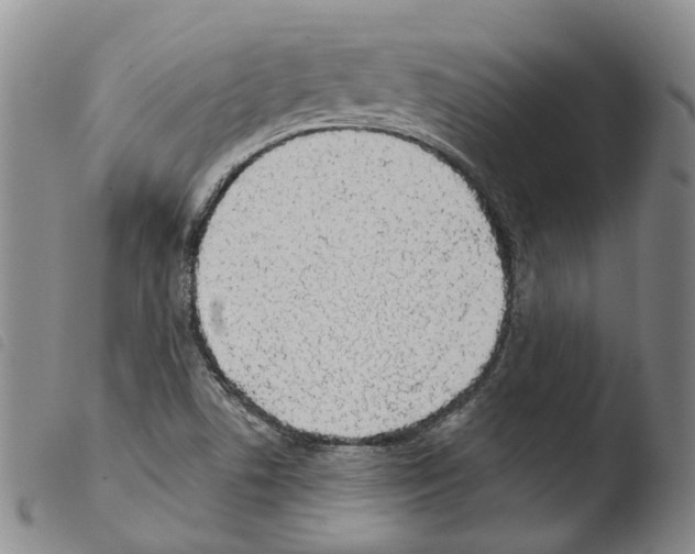 X0000103491506200810241049