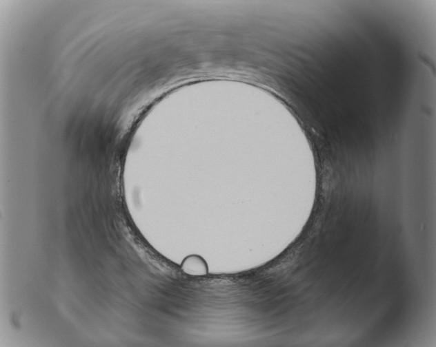 X0000103491507200810241049