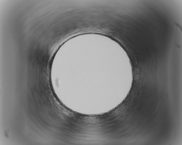 X0000103491508200810241049