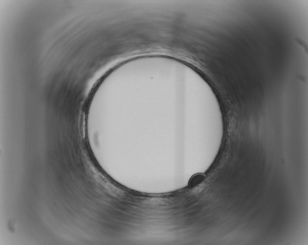 X0000103491510200810241049