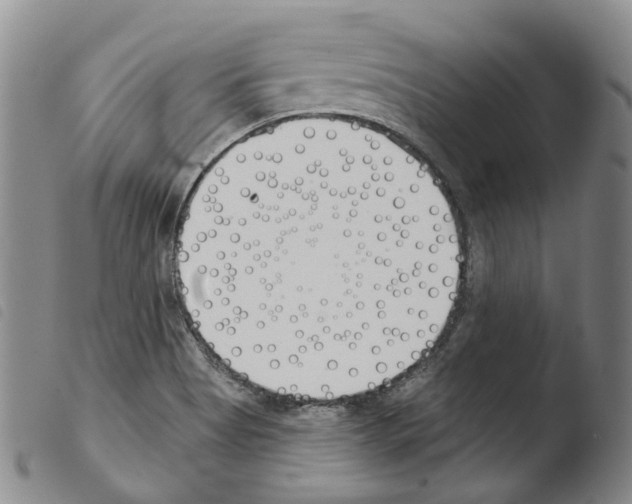 X0000103491513200810241049