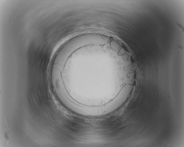 X0000103491514200810241049