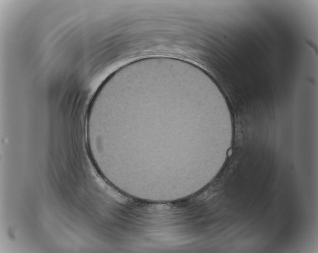 X0000103491515200810241049