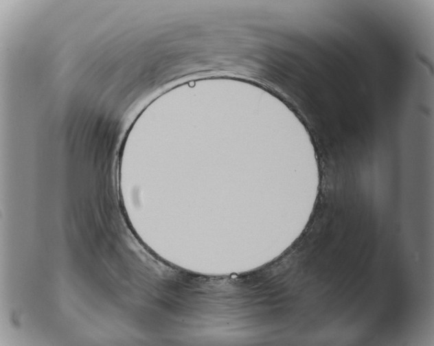 X0000103491516200810241049