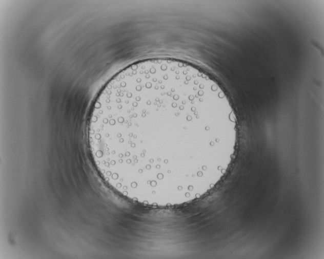 X0000103491517200810241049