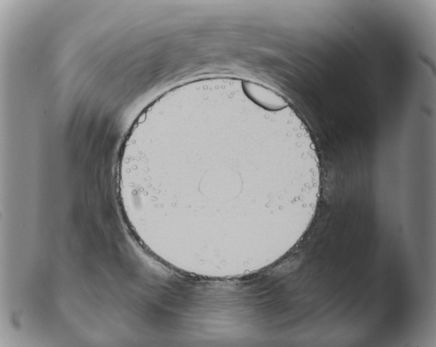 X0000103491519200810241049