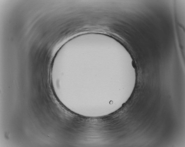 X0000103491520200810241049
