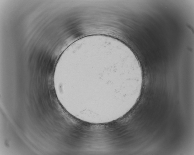 X0000103491521200810241049