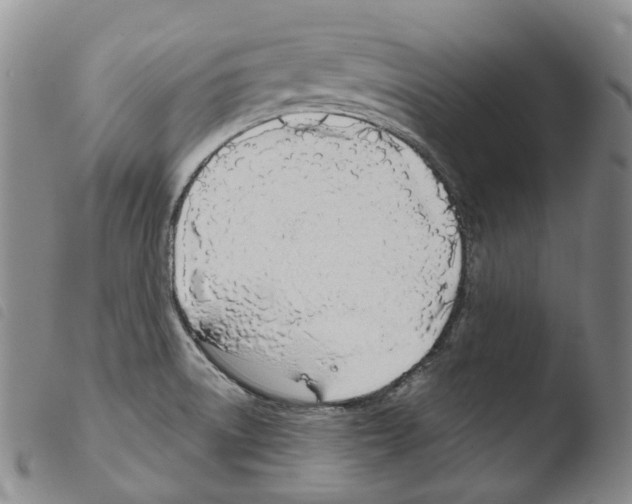 X0000103491522200810241049