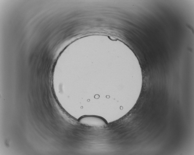 X0000103491523200810241049