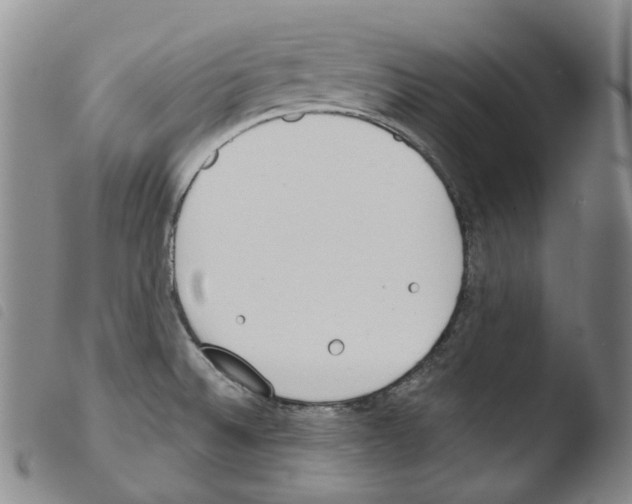 X0000103491524200810241049