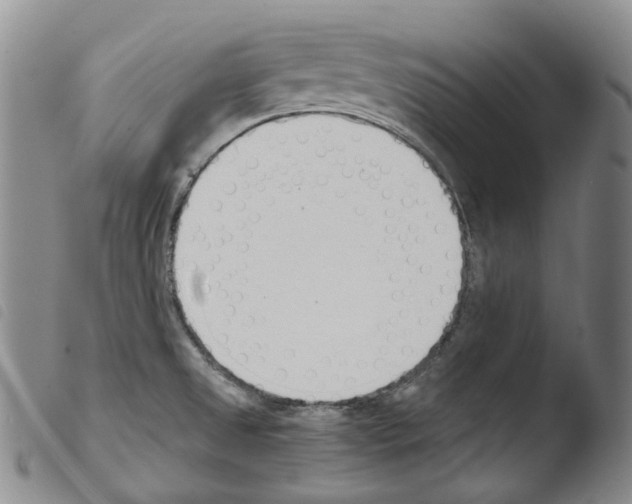 X0000103491525200810241049