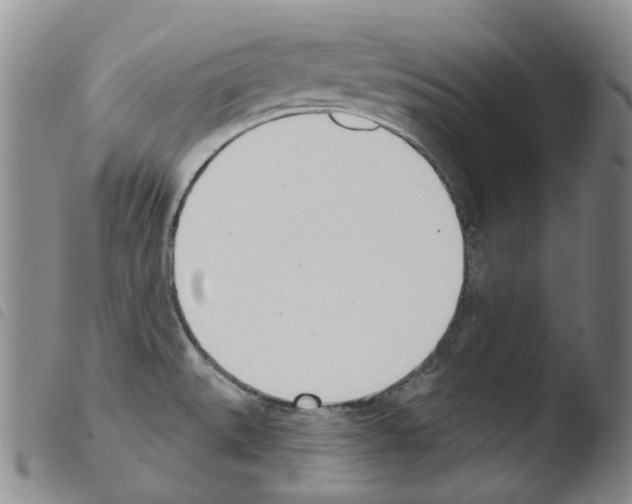 X0000103491527200810241049