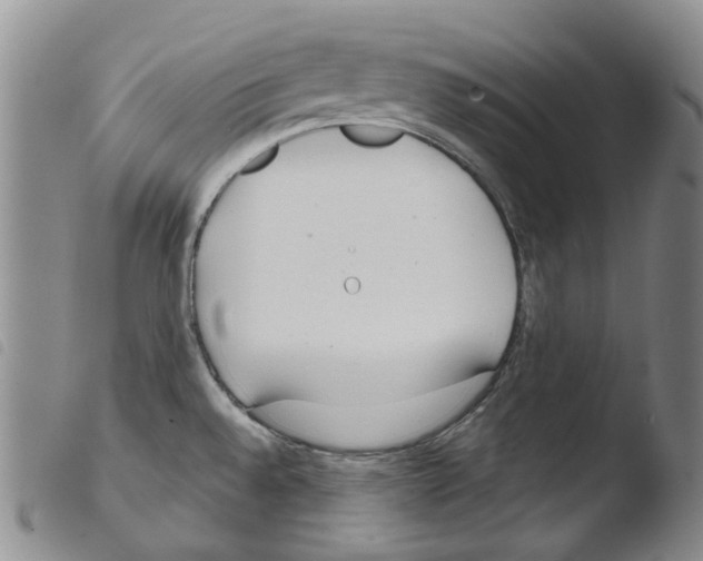 X0000103491528200810241049