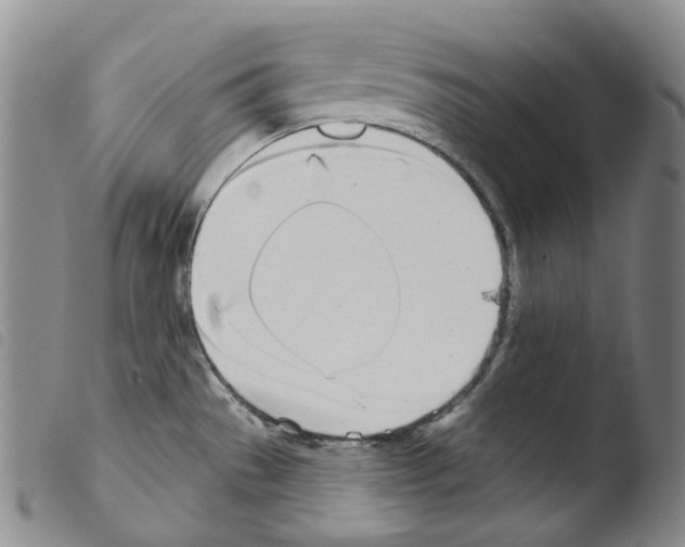 X0000103491529200810241049