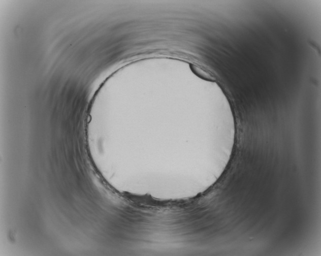 X0000103491530200810241049