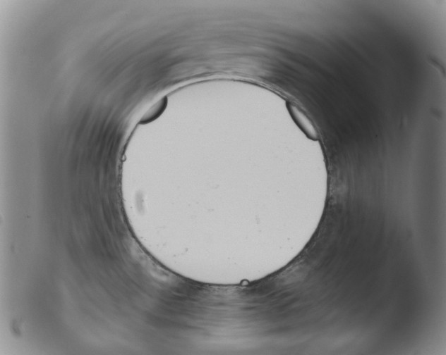 X0000103491532200810241049