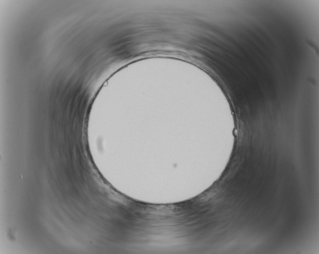 X0000103491533200810241049