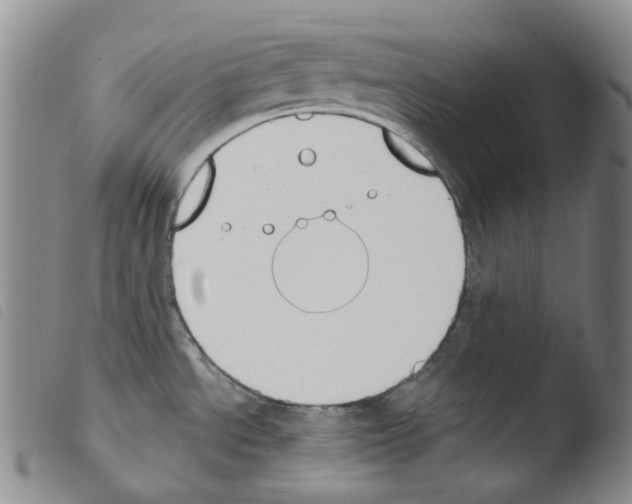 X0000103491534200810241049