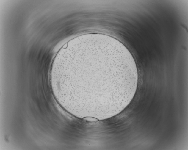 X0000103491535200810241049