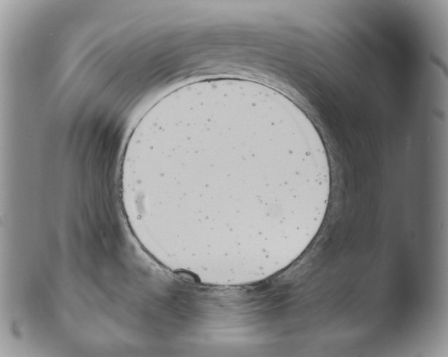 X0000103491536200810241050
