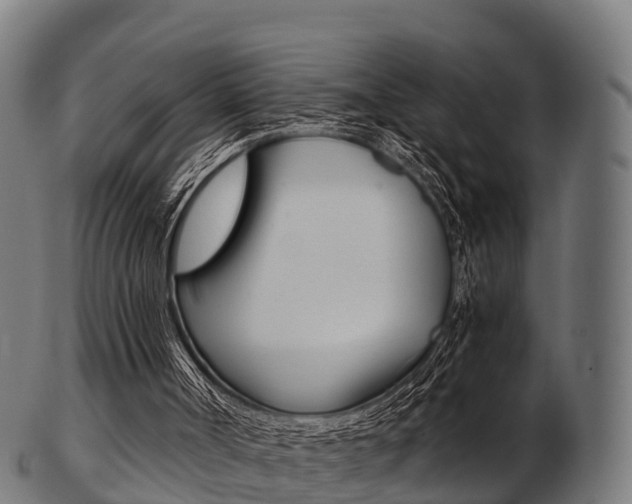 X0000103500002200809121022