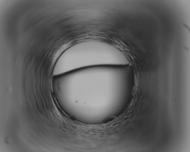 X0000103500003200809121022