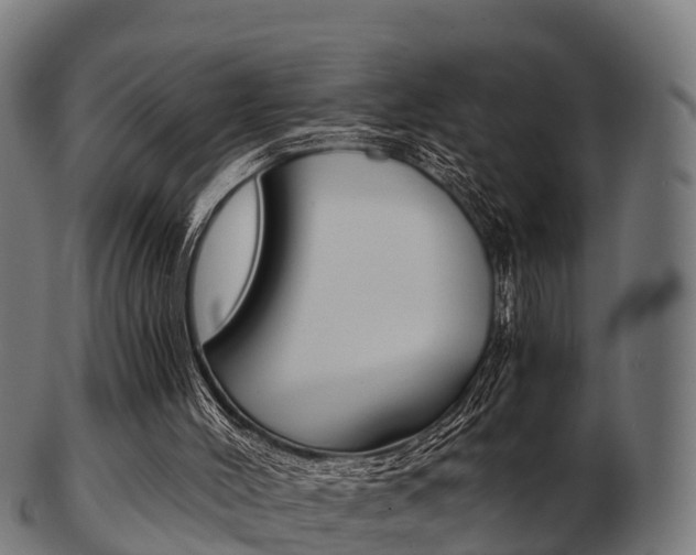 X0000103500004200809121022