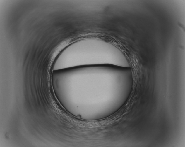 X0000103500006200809121022