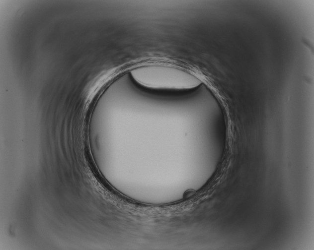 X0000103500007200809121022