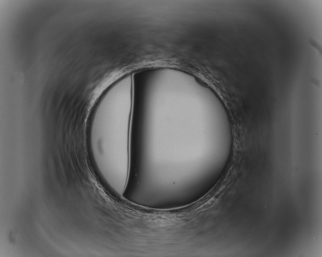 X0000103500008200809121022