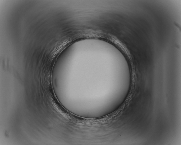 X0000103500009200809121022