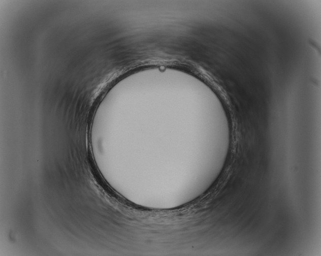 X0000103500011200809121022