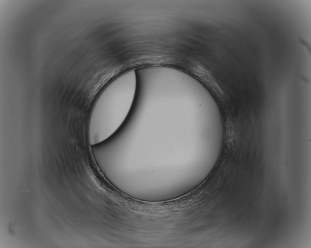 X0000103500014200809121022