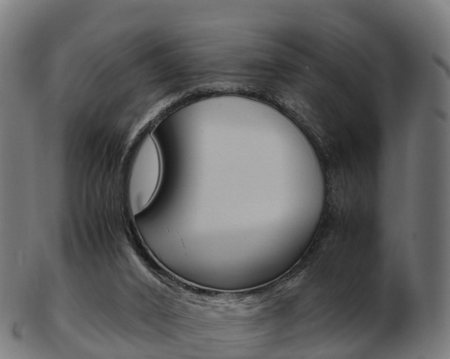 X0000103500016200809121022