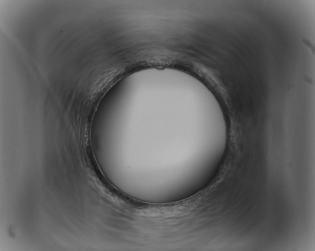 X0000103500017200809121022