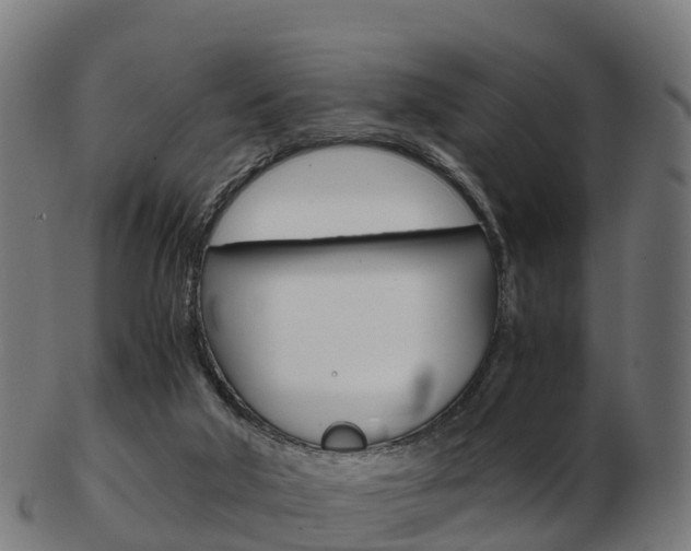 X0000103500018200809121022