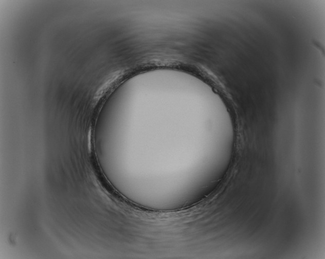 X0000103500019200809121022