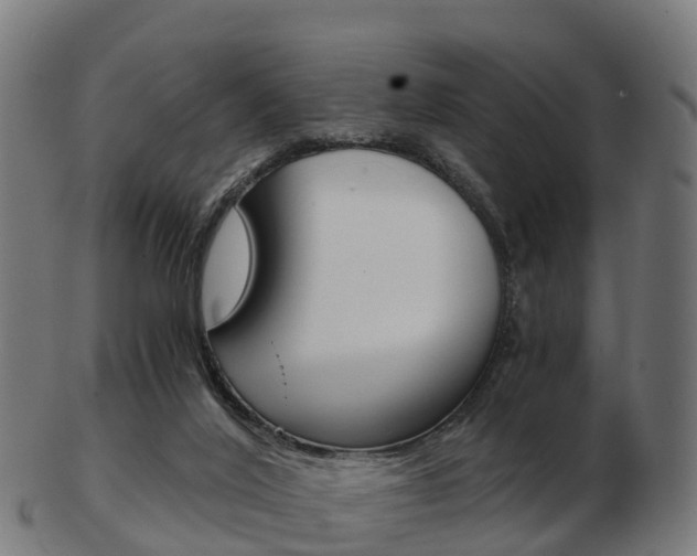 X0000103500020200809121022